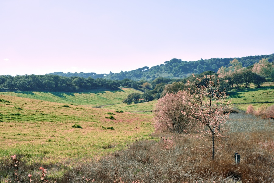 Countryside around Maceda